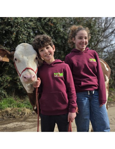 Sweat à capuche Bordeaux -...