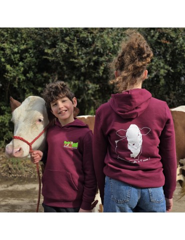 Sweat à capuche Bordeaux -...